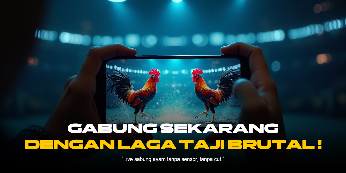 Odds dan Jenis Ayam Sabung di SV388 Paling Menarik!