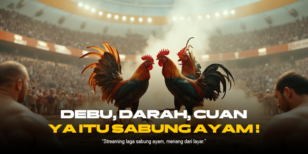 Mengenal Jenis Ayam Aduan SV388 yang Paling Laris di Sabung Ayam Online