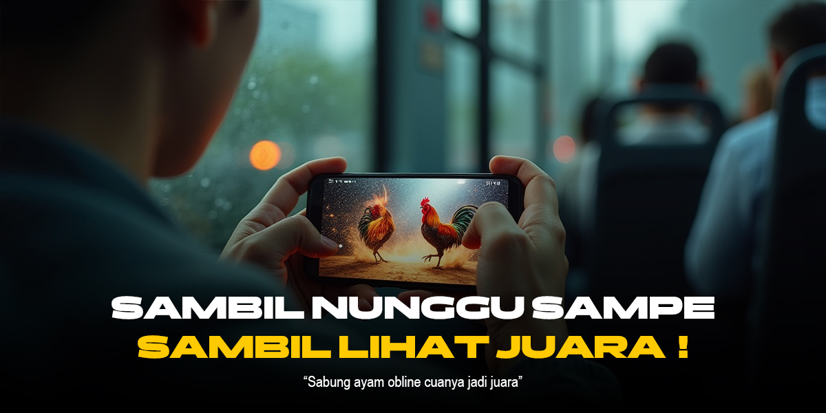 Rahasia Sabung Ayam SV388: Jenis Ayam, Odds, dan Keunggulan Provider